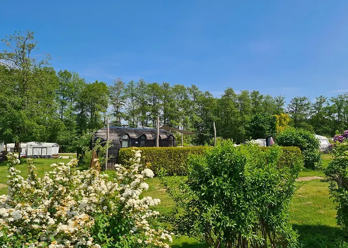 Tiny Igloo Elrond * Belau